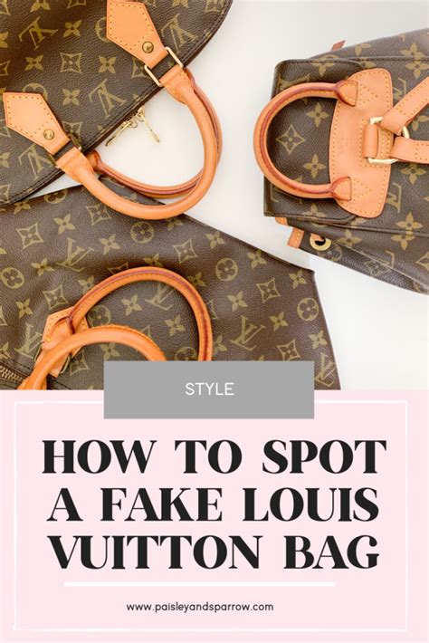 collare louis vuitton cane replica|Smart Ways to Spot a Fake Louis Vuitton Bag .